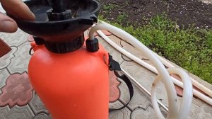 Обработка туи, но оказалось виноваты коты.