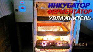 ДНЕВНИК ТАБАКОВОДА № 5 ( делаем инкубатор - ферментатор часть 2 ) ТАБАК