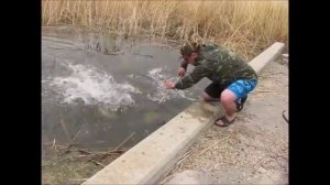 Рыбалка с луком. Bow Fishing.