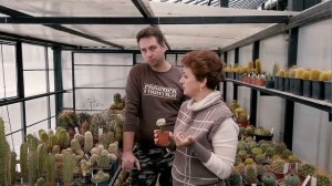 Необычные виды кактусов