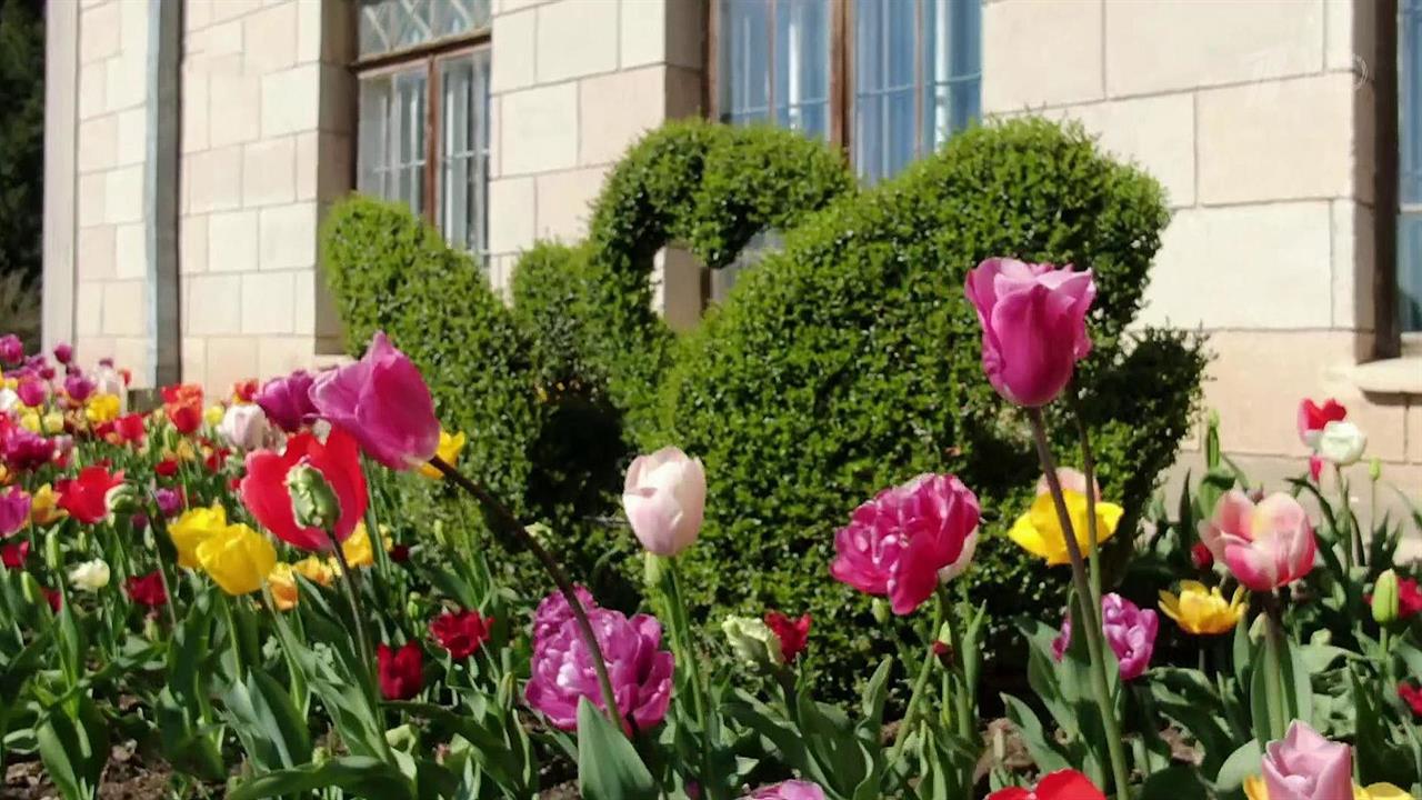 В Ялте стартовал 12-й парад тюльпанов