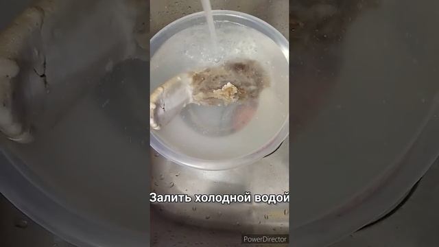 Как приготовить говяжий язык смотреть онлайн