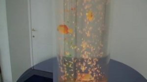 Пузырьковая колонна с пластиковыми рыбками