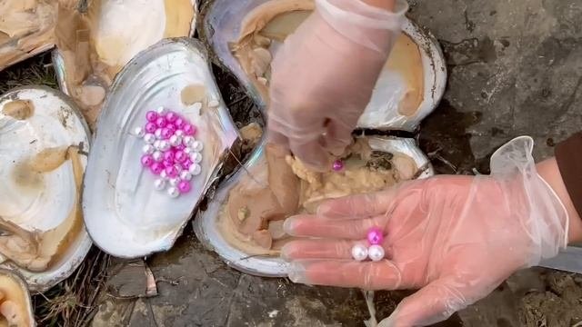 Find Treasure In Dry Rivers, Find Giant Pearl Oysters And Collect Beautiful Pink Pearls