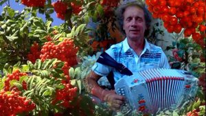 Тонкая рябина ╰❥ Красивая НАРОДНАЯ, застольная песня под гармонь ☀️    Russian folk song!