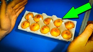 Как сделать мини-ферму по выращиваю лука. Домашняя грядка