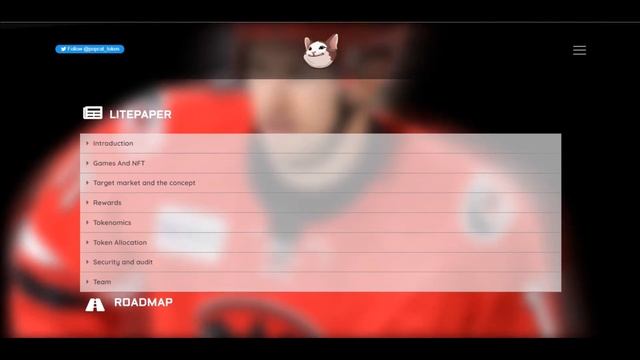 Popcat — новый мем токен PCAT — Обзор