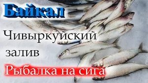 Байкал. Чивыркуйский залив. Рыбалка на сига. 2020-03-20.