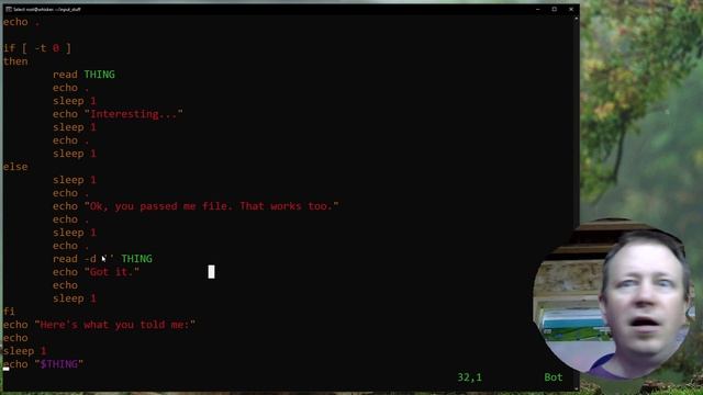 Get Data Into Your BASH Script! смотреть онлайн