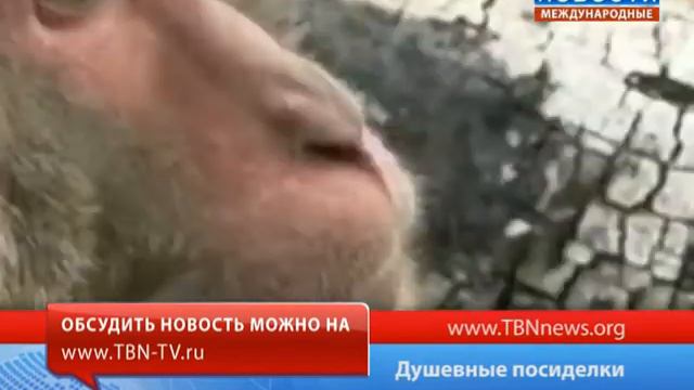 Душевные посиделки