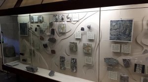 Палеонтологический музей им. Ю.А.Орлова обзорный экскурс