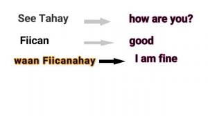 how to Say Hi in Somali language / how to greet someone in Somali / salaan