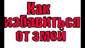 Как избавиться от змей на дачном участке и в доме.mp4