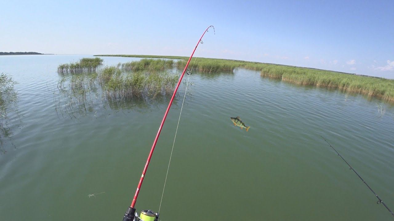 ПОПАЛИ НА КОТЕЛ ОКУНЯ ! ОКУНЬ НА СПИННИНГ ОКУНЬ НА МИКРОДЖИГ смотреть онлайн