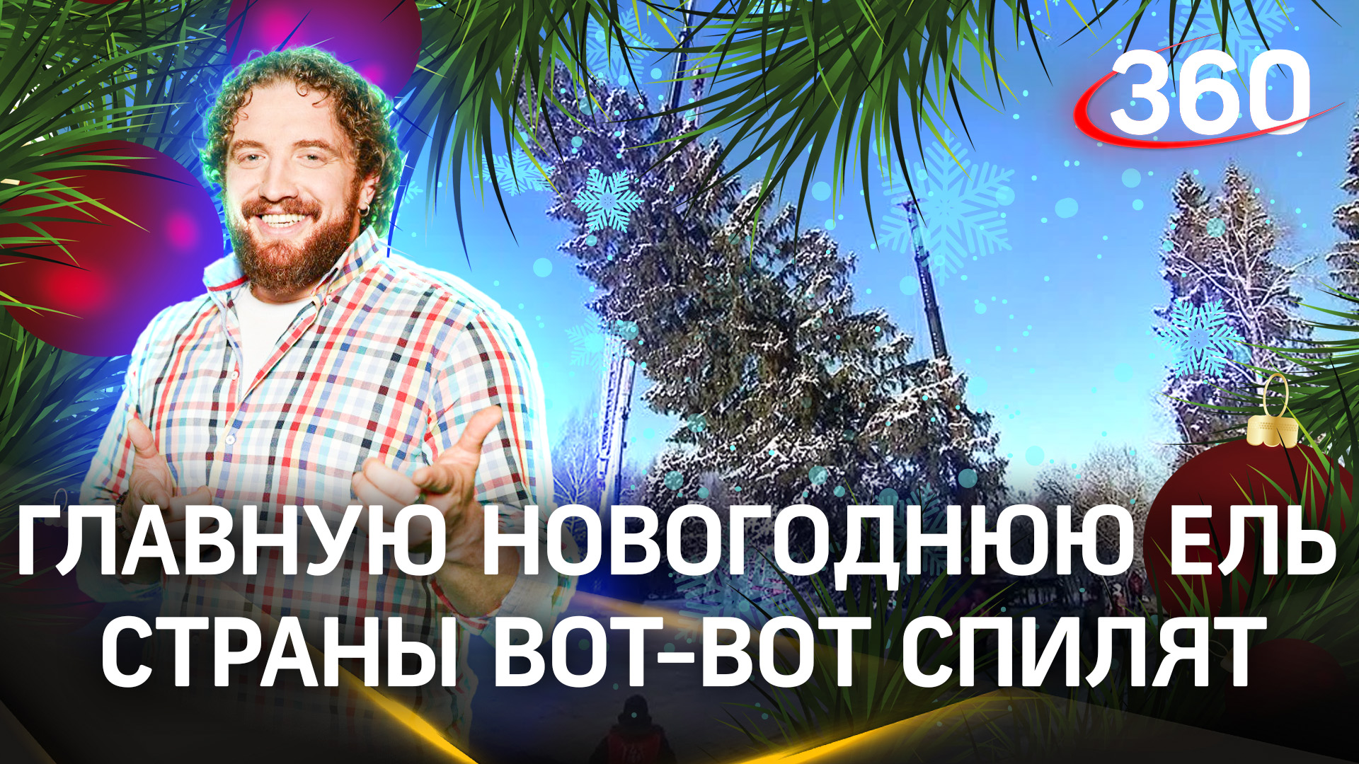 Главную новогоднюю елку России спилят в Подмосковье