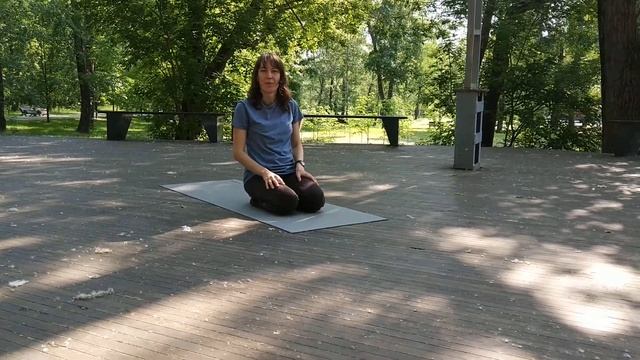 Чатуранга дандасана или поза посоха с AiRA Club смотреть онлайн