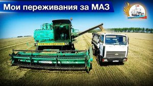 Сменил напарников-комбайнёров. На двух ДОН-1500Б и Акрос-530 убираем ячмень.