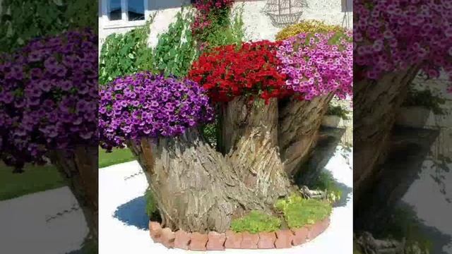 ЦВЕТОЧНАЯ СКАЗКА...??? смотреть онлайн