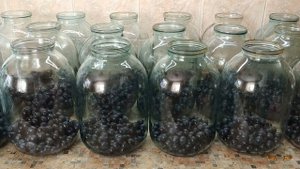 Компот из винограда и апельсина (без стерилизации) - сколько не заготовь, будет мало