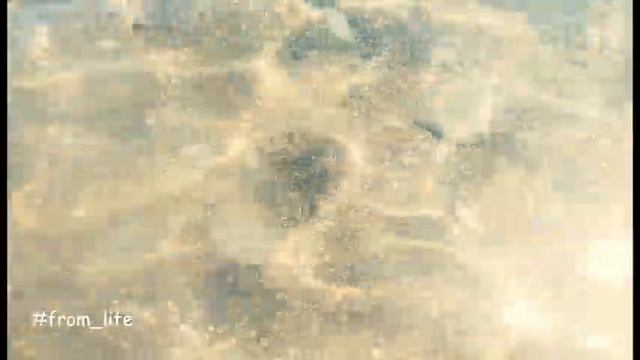 КРЫМ НОВЫЙ СВЕТ ЦАРСКИЙ ПРЯЖ МЕДУЗЫ