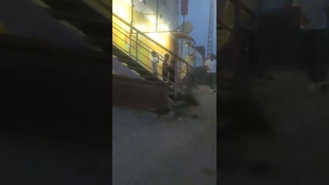 #пишут возле магазина "Илья" в сайсарах автобус сбил собаку. примерно 21:10.
собака валялась