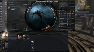 Фит Caracal Navy Issue для боевых мисок 1 и 2 уровня