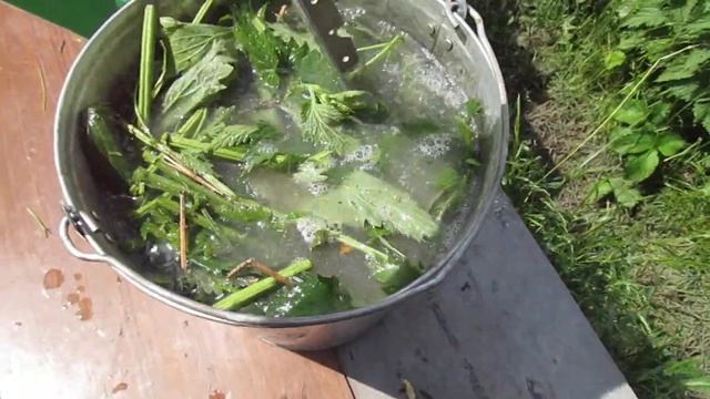 Удобрение из крапивы для подкормки томатов и огурцов .