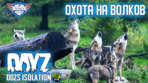 ОХОТА НА ВОЛКОВ | DAYZ Isolation PVE | #53