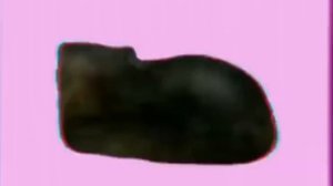 OIIAOIIIIA  10 HOURS