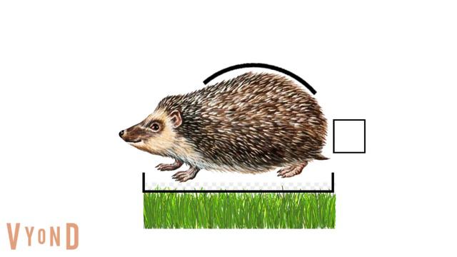 Части слова смотреть онлайн