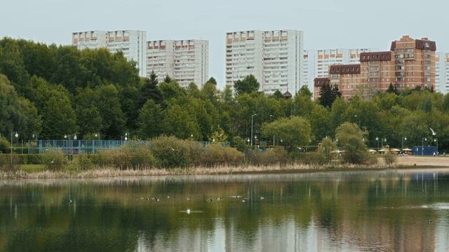 Школьное озеро, которое до революции называлось "Водокачка". Зеленоград. Спокойный мирный вечер. смотреть онлайн