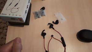 Самый полный обзор наушников, Honor Sport AM61