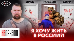 Американцы мечтают жить в России? Гражданин США - почему нас ценят за рубежом | НЕОРУЭЛЛ | Тим Керби