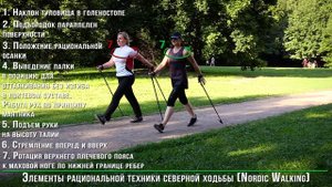 Техника скандинавская ходьба северная ходьба (Nordic walking)