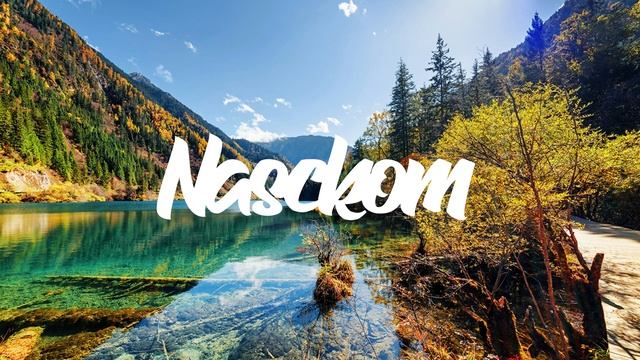 NASCKOM FT RONISIA - Désoler (ZOUK REMIX) 2021 смотреть онлайн