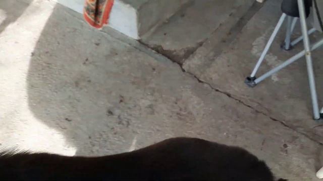 Отважная. Работы в огороде продолжаются.