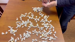 Задержан подозреваемый в незаконном хранении метадона