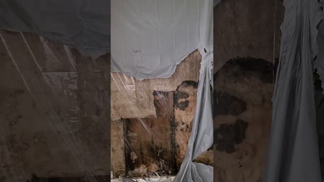 golden sunshine inside смотреть онлайн