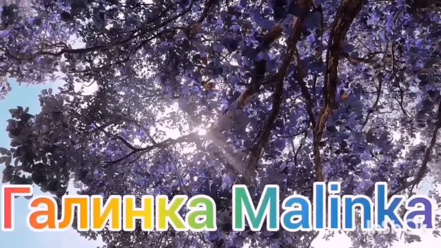 Ольга Уралочка live /Как друзья друзей об😂срали /Обзор Влогов /Уралочка и Сафар /