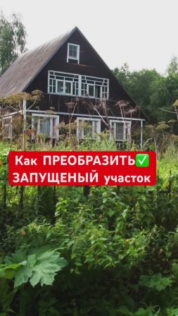 Как справиться с заброшенным участком ЛЕГКО и БЫСТРО