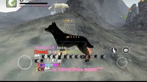 Wolf Online~Цветной(радужный)ник НЕ В ЧАТ!))