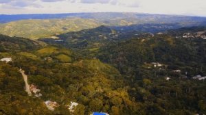 Солнце, растения и мы с вами