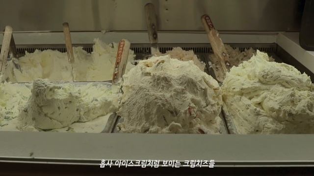 뉴욕 일상 브이로그 / 하루만에 뉴욕 한바퀴 일주, 센트럴파크 보트타기, 섹스앤더시티 촬영지, 첼시마켓, 웨스트빌리지, 베이글, 타임스퀘어, 브룩클린브릿지, 야경