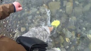 Самая большая стоянка дикарей на побережье чёрного моря - #лестница. Стоянка #темная щель