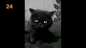 жуткие лица кефира 100 минут