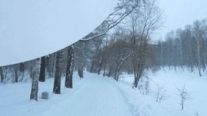 ЗИМА НА МОЁМ КАНАЛЕ!!!!!!!!!!/Песня падают снежинки, за окном поют ветра