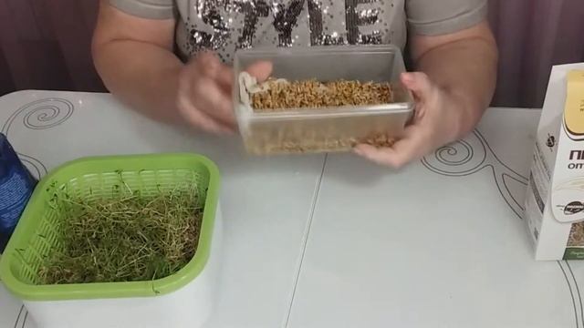 Пророщенная пшеница и чечевица — эликсир здоровья и долголетия. Забудьте о старении! смотреть онлайн