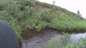 Ловля хариуса в тундровой речке. Рыбалка на крайнем севере .