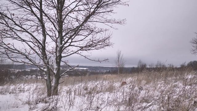 Идём за зайцем. Анонс смотреть онлайн