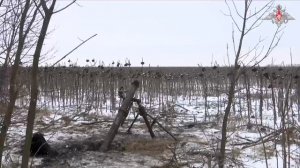 Боевая работа расчета 120-мм миномета «Поднос»